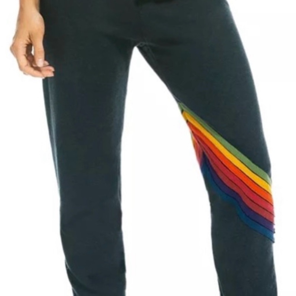 Aviator Nation Diagonal Stripe Sweatpants, Adult Small - Charcoal